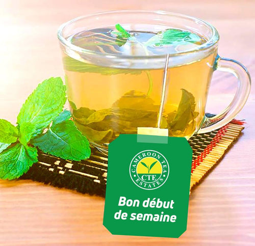 CAMEROON TEA - Black Tea From Cameroon